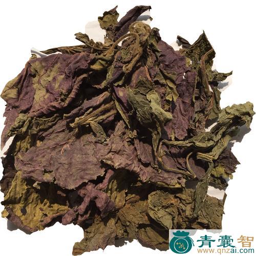 莫苏的性味归经以及功效用法-青囊智