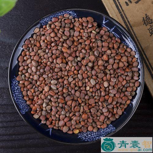 中药材莱菔缨图片