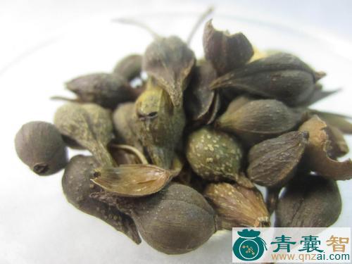 中药材莲壳图片