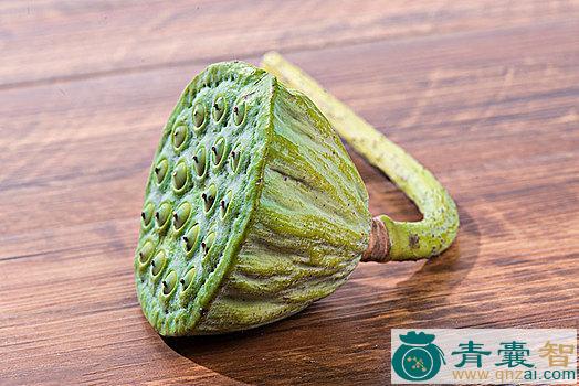中药材莲蓬图片