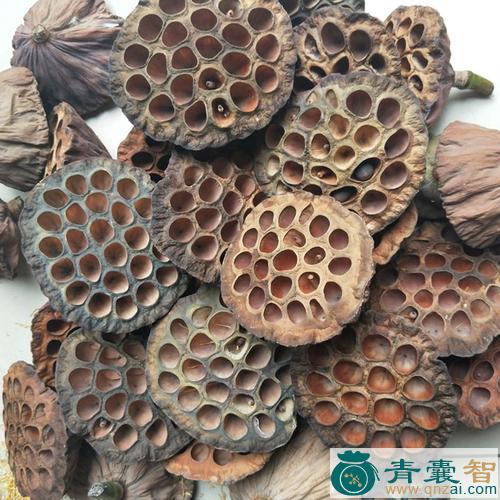 中药材莲蓬壳图片