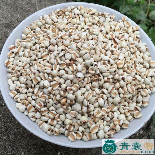 莲薏的性状性味归经以及功效用法-青囊智