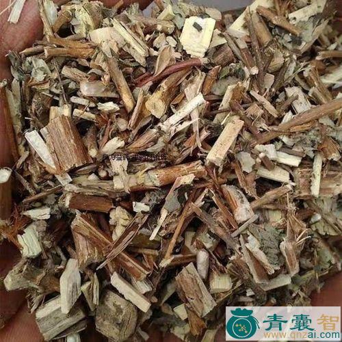 莸叶醉鱼草的性味归经以及功效用法-青囊智