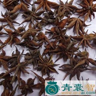 中药材莽草图片