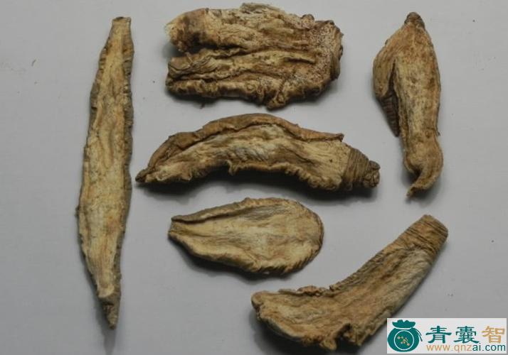中药材菅根图片