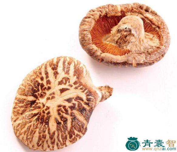 中药材菊花菇图片