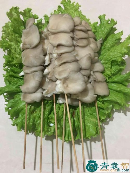 菌串子的性状性味归经以及功效用法和注意事项-青囊智