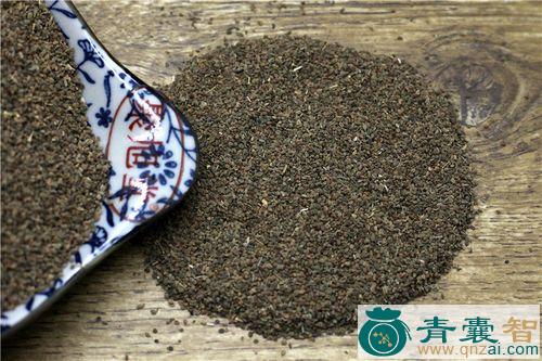 中药材菜子泡图片