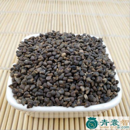 中药材菜子灵图片