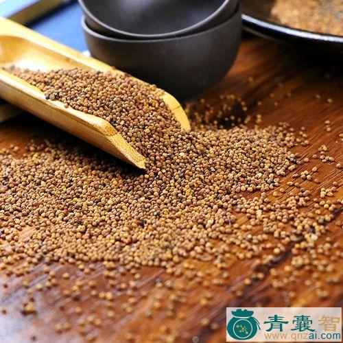 中药材菟累图片