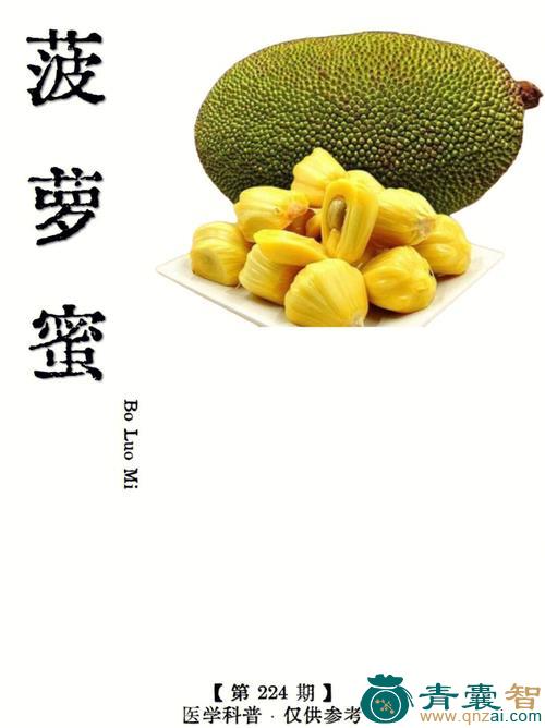 中药材菠萝简图片