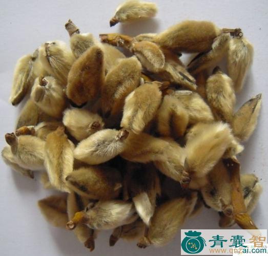 菡萏的性状性味归经以及功效用法-青囊智