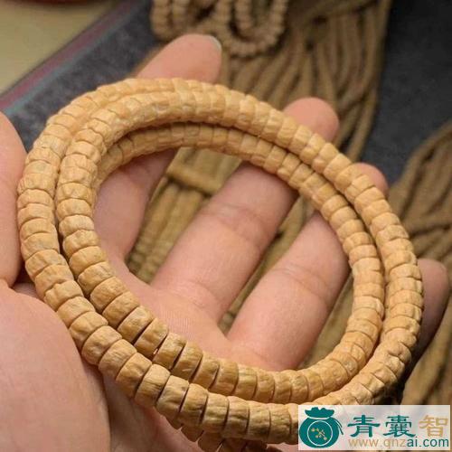 中药材菩提香图片