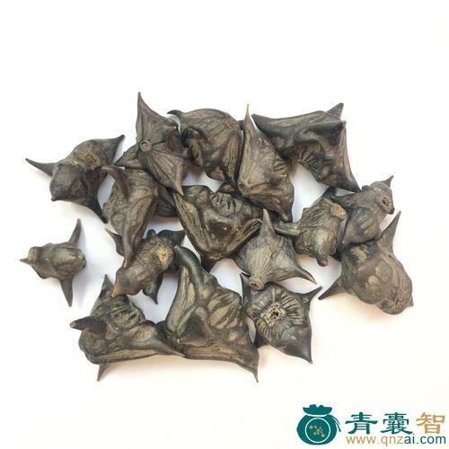 中药材菱角图片