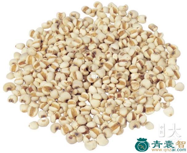 菵米的性味归经以及功效用法-青囊智