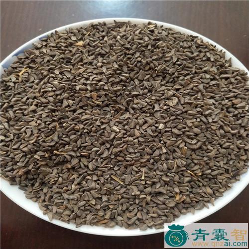 中药材萍蓬子图片