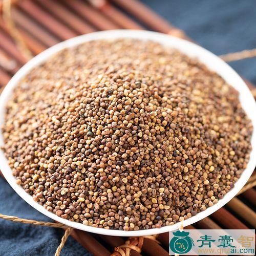 萝丝子的性状性味归经以及功效用法和注意事项-青囊智