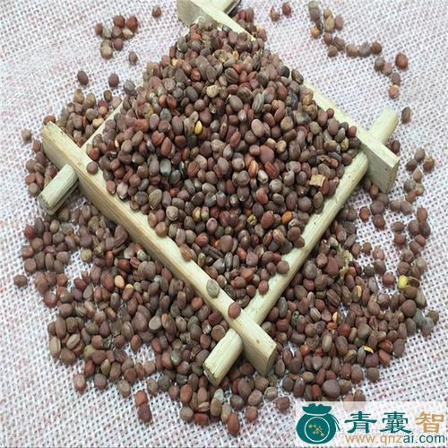 中药材萝卜子图片