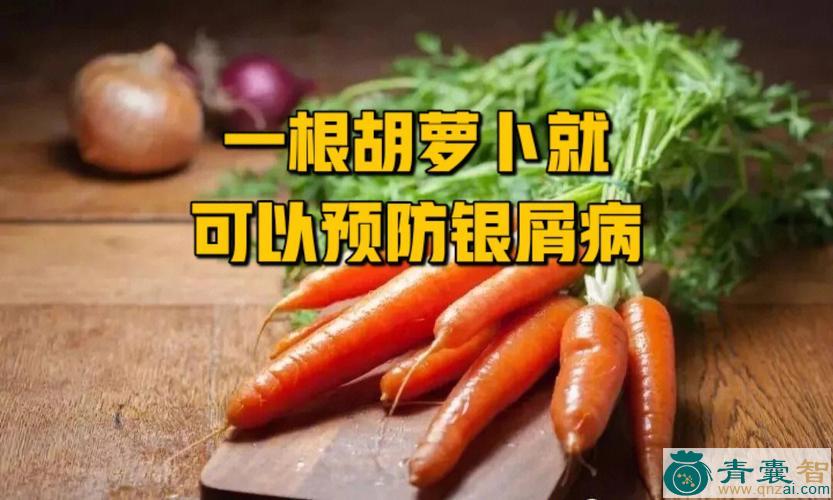 中药材萝卜甲图片