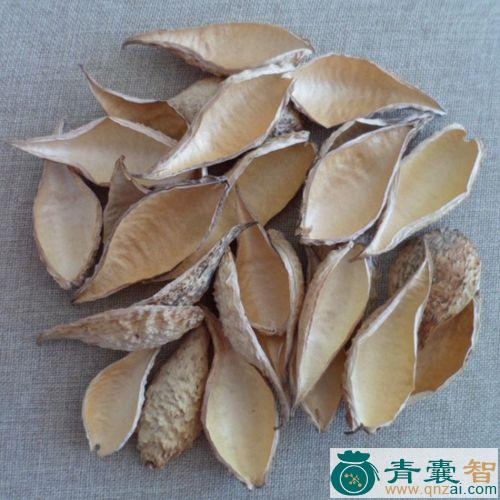 萝藦的性状性味归经以及功效用法-青囊智