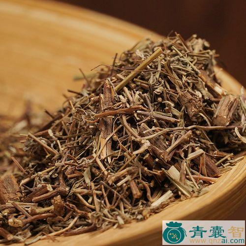 中药材萼果香薷图片