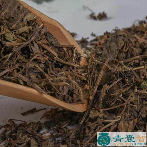 中药材落地金钱图片