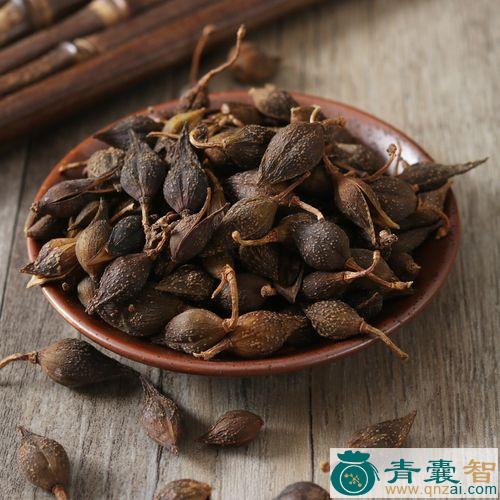 中药材落翘图片