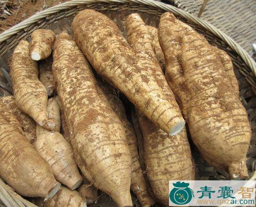 中药材葛薯图片