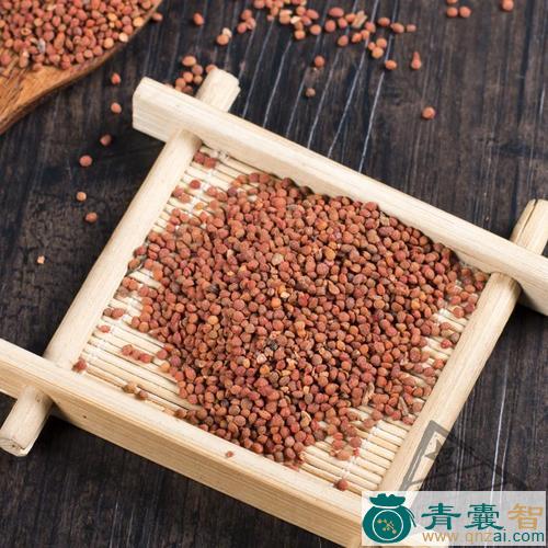 中药材葛藟果实图片