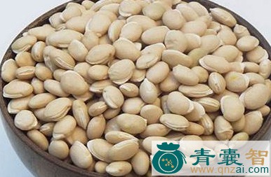 葛谷的性味归经以及功效用法-青囊智