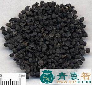 中药材葱子图片