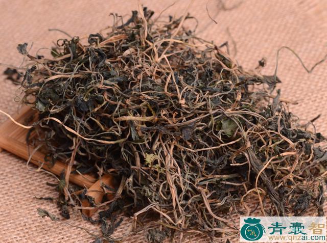 中药材蒙自水芹图片