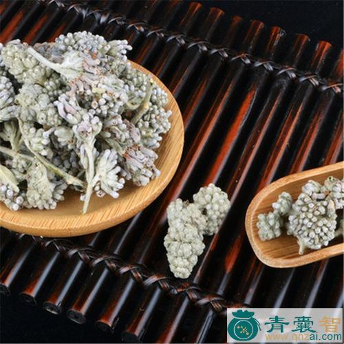 蒙花珠的性状性味归经以及功效用法-青囊智