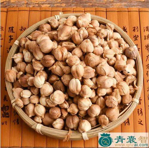 蒮菜的性味归经以及功效用法-青囊智