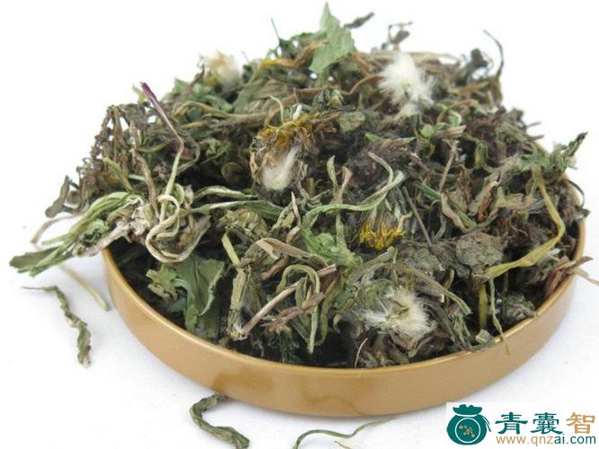中药材蒲厘图片