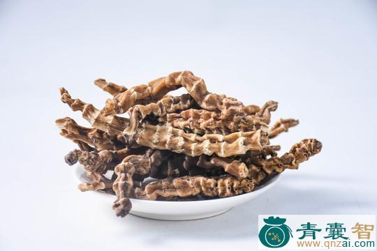 中药材蒲地参图片