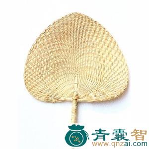 中药材蒲扇风图片