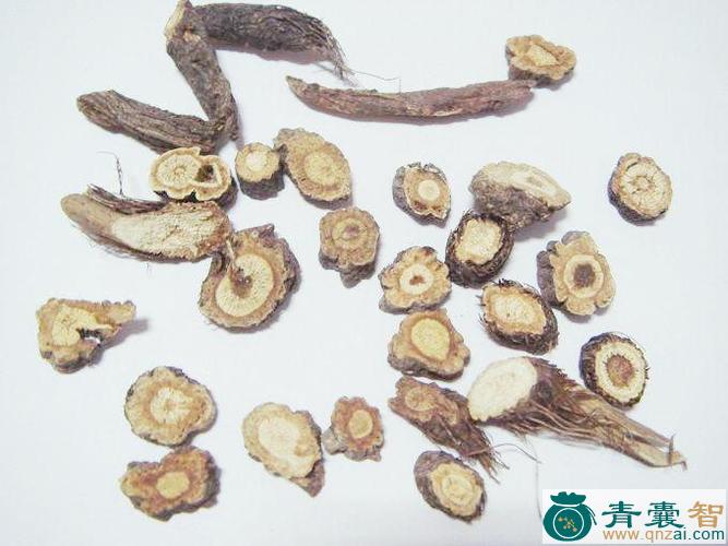 中药材蒲松实图片