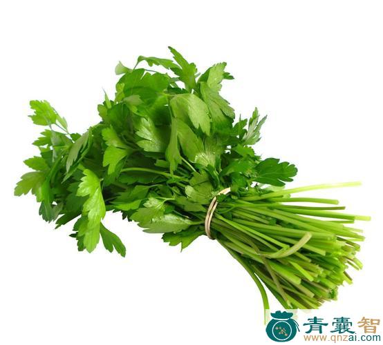 中药材蒲芹图片