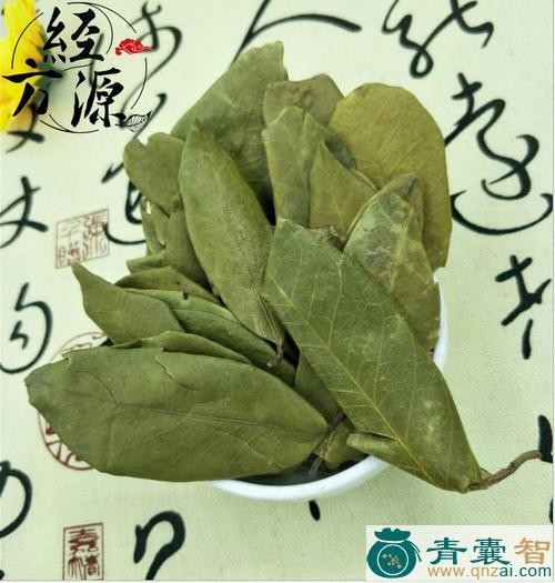 中药材蒲颓叶图片