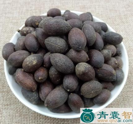 中药材蒲颓子图片
