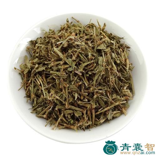 蓄辩的性状性味归经以及功效用法和注意事项-青囊智