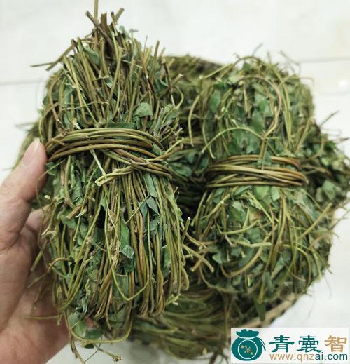 中药材蓇草图片