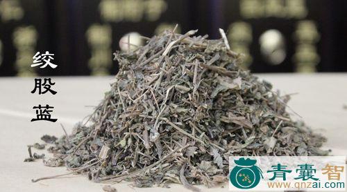 中药材蓝姑草图片