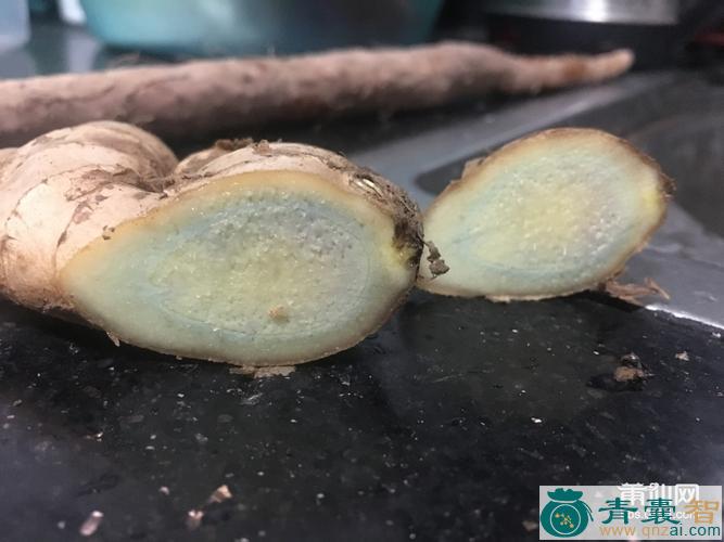 中药材蓝心姜图片