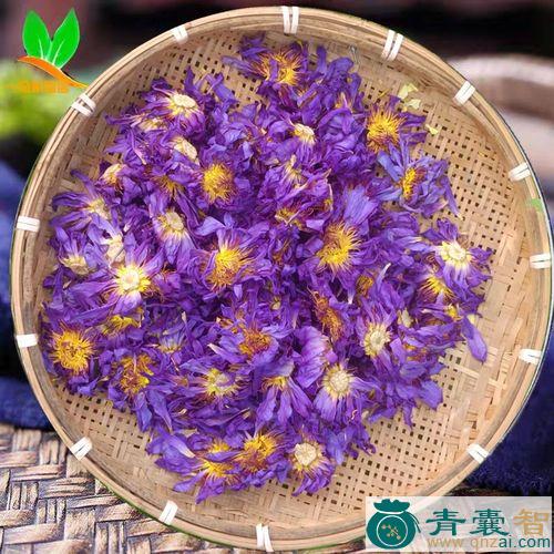 中药材蓝花茶图片