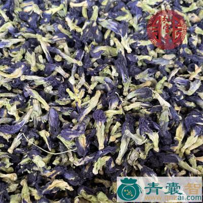 中药材蓝蝴蝶图片
