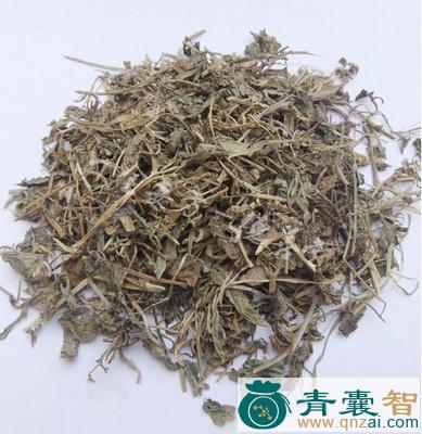 中药材蔊菜图片