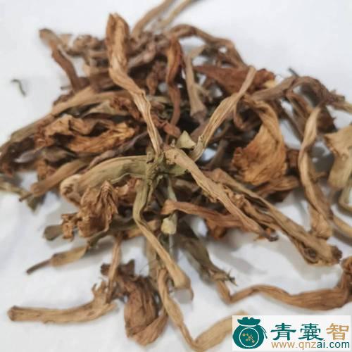 蔓华的性状性味归经以及功效用法-青囊智