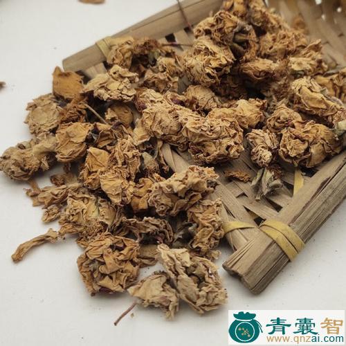 中药材蔷图片